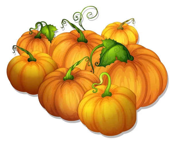 depositphotos_11587456-stock-illustration-pumpkins